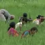Fenêtre sur notre monde: World Challenge Episode 1