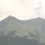 Les Nouvelles de l'été du 04.08.11