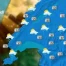 La Météo du 01.05.11