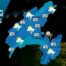 La Météo VD du 02.08.11