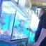 Profil  - Jonathan, aquariologiste
