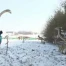C'est arrivé près de chez vous - Le Monde des Dinosaures à Sugnens (VD)