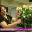 Citadines du 28.03.12