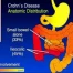 Diagnostic du 19.06.12 - La maladie de Crohn 2/4