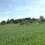 Les Infos du 11.05.12