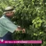 Jardin Malin du 04.09.12