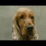 Arrête Ton Cinéma du 26.02.13