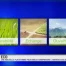 Eco: pour mieux comprendre l'univers écolo
