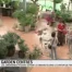 Les Garden Centre ouverts le dimanche