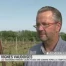Les vignerons vaudois pansent leurs plaies