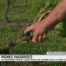 Les vignerons vaudois pansent leurs plaies
