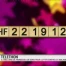 2.2 millions de francs pour le Téléthon en Suisse