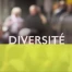 Diversité