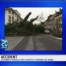Un arbre s'écroule sur la route à Yverdon-les-Bains