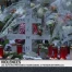 Yverdon: 18 mineurs liés à la mort de Dylan interpellés
