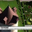Yann Arthus-Bertand aux côtés de Suisse Tourisme