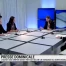 La population refuserait l'achat des Gripen