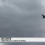 L'armée privée de l'argent des Gripen