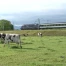 Pas de train entre Fribourg et Payerne cet été