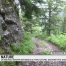 Un nouveau sentier botanique au parc naturel Gruyère