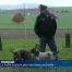 Les truffes toujours plus rares dans nos forêts