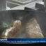 Une consommation excessive de viande nuirait à la santé