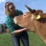 Veau, vache, cochon, couvée