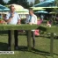 La Télé les pieds dans le sable à Fribourg Plage
