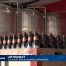 L'essor des brasseries artisanales