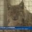 Zoo de la Garenne: 50 ans au service de la faune régionale