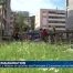 La Maison de quartier des Faverges est en fête