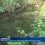 Fribourg et Vaud interdisent le pompage dans les cours d'eau