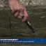 Les poissons de la Broye souffrent de la canicule