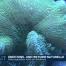 Immersion au cœur des émotions