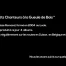Les Chanteurs en Goguette
