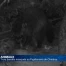 Trois bandits à fourrure au Papillorama