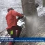 Près de 40 arbres abattus près du jardin botanique (FR)