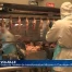 Visite de l'atelier de transformation de volaille Micarna