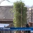 La Terrasse continuera d'accueillir les toxico-dépendants