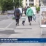 Des portraits d'habitants ornent les rues de Vevey