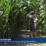 Un labyrinthe naturel créé par des passionnés