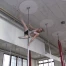 Un Broyard aux championnats du monde de pole dance