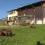 L’élevage caprin à Leysin