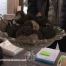 Marché aux truffes de Bonvillars