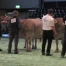 Succès pour le salon Swiss Expo