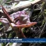Au coeur du Parc naturel régional Gruyère Pays-d’Enhaut