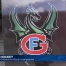 Gottéron en tête du championnat
