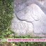 Un cimetière pour chiens de luxe