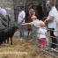 Fête de la nature en ville de Lausanne