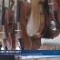 Rencontre avec Sébastien Lavielle, luthier à Lausanne